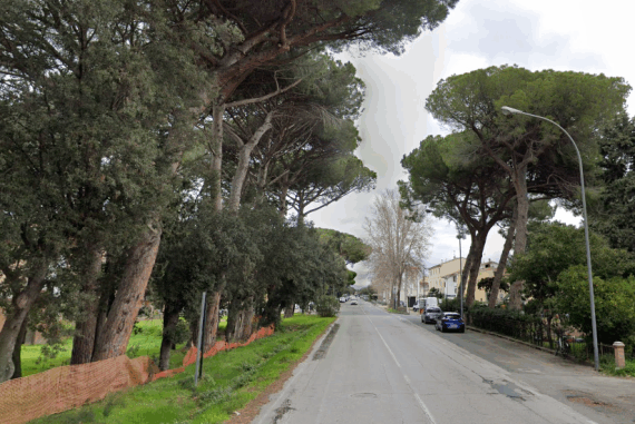 immagine della via Aurelia
