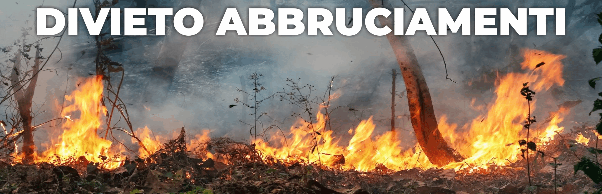 immagine di incendio nel bosco