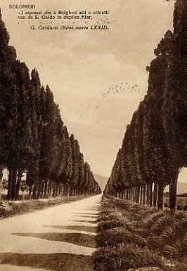 foto antica del viale dei cipressi di bolgheri