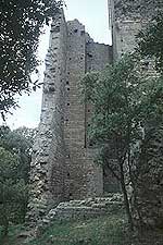 foto dell'antica torre